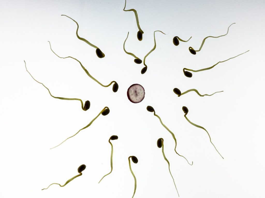 Dr.Paul Clayton - Egg and sperm race